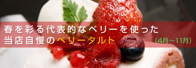 Css Template Preview